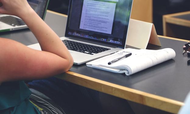 Essay Writing Service