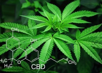 cannabis delivery: Los Angeles
