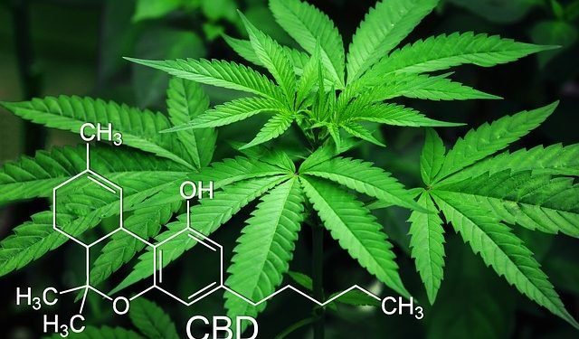 cannabis delivery: Los Angeles