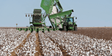 Case IH Cotton Picker