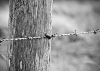 Fencing Materials