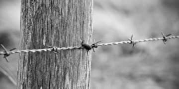 Fencing Materials