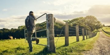 Fencing