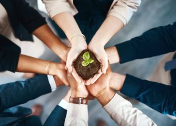 Business to the Next Level