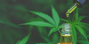 CBD Oil to Be Full Spectrum