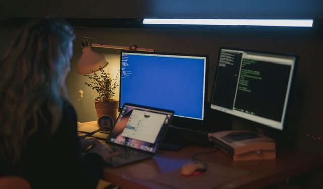Angular Developer