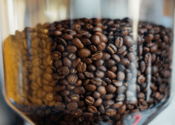 best coffee bean grinders