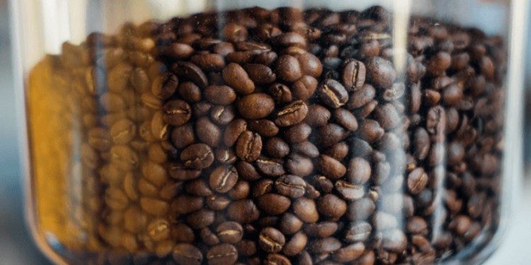 best coffee bean grinders