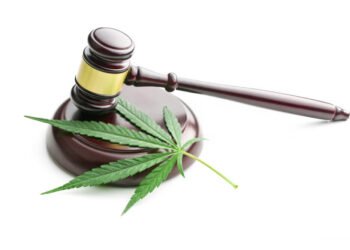 cannabis law