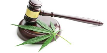 cannabis law