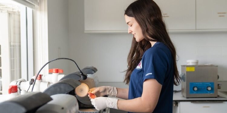 Ceramics In Medicine