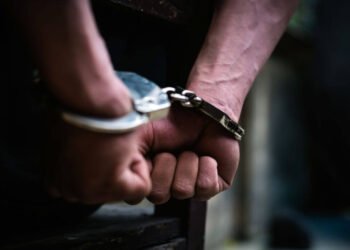 Sex Offender