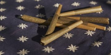 CBD Hemp Flower