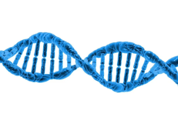 Protein Expression