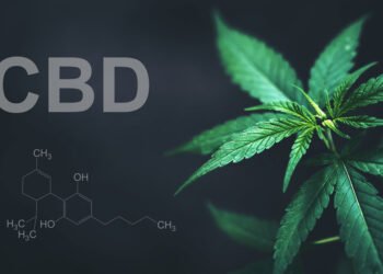 what is cbd