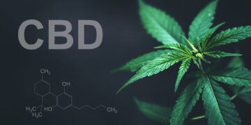 what is cbd