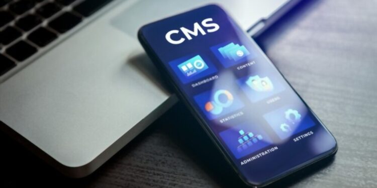 cms for business