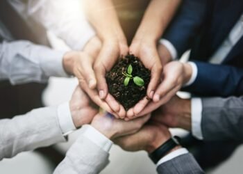grow cbd business