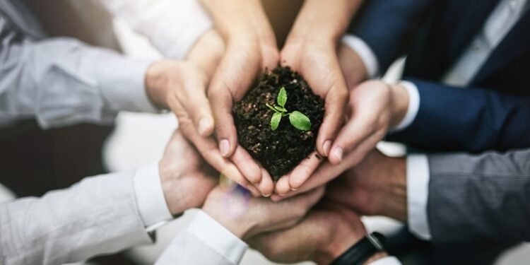 grow cbd business