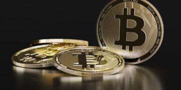 What You Should Do During a Bitcoin Bear Market