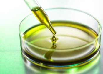 CBD Oil