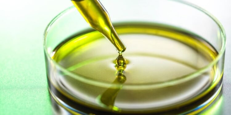 CBD Oil