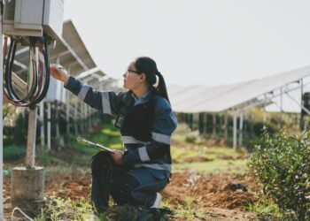 solar panels