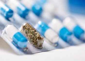 How to Get an MMJ Card & Why Is It So Convenient