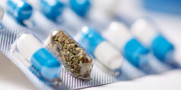 How to Get an MMJ Card & Why Is It So Convenient