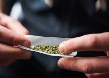 Cannabis