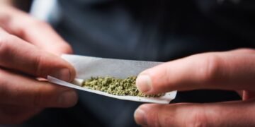 Cannabis