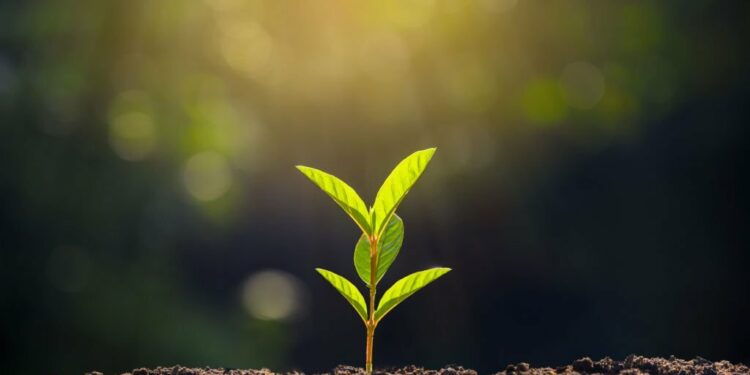 potential growth