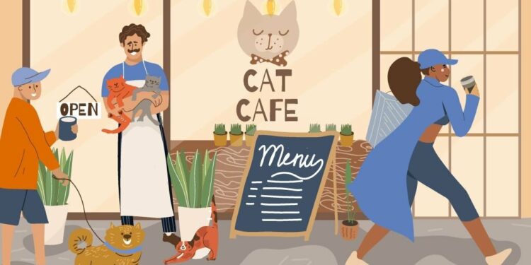 cat cafe