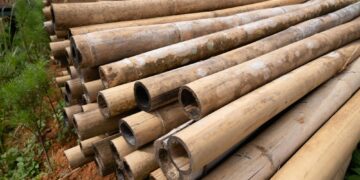 How to Protect Bamboo Construction in a Wet Climate